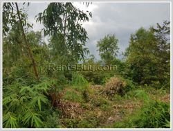 ID: 4358 - Agriculture land for sale in Ban Champa, Sikhottabong District