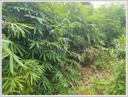 ID: 4358 - Agriculture land for sale in Ban Champa, Sikhottabong District