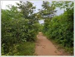 ID: 4358 - Agriculture land for sale in Ban Champa, Sikhottabong District