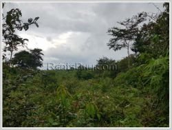 ID: 4358 - Agriculture land for sale in Ban Champa, Sikhottabong District