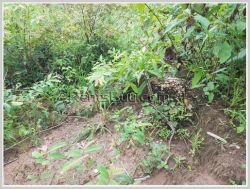 ID: 4358 - Agriculture land for sale in Ban Champa, Sikhottabong District