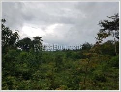 ID: 4358 - Agriculture land for sale in Ban Champa, Sikhottabong District