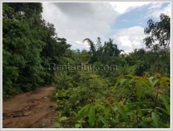 ID: 4358 - Agriculture land for sale in Ban Champa, Sikhottabong District