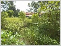 ID: 1528 - Vacant land for sale at Sangveuy Village