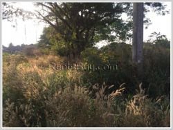 ID: 520 - Large vacant land for sale in Donpaimai Village