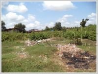 ID: 2843 - Vacant land in town at Sangveuy Village
