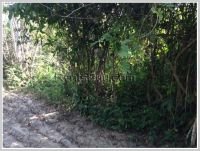 ID: 1648 - Vacant land for sale at Dong Village