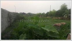 ID: 3979 - Agriculture land for sale near Km 52 Market in Vientiane province
