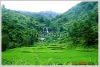 ID: 2971 - Shady land by waterfalls for sale with beautiful waterfall & mountain view