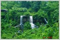 ID: 2971 - Shady land by waterfalls for sale with beautiful waterfall & mountain view