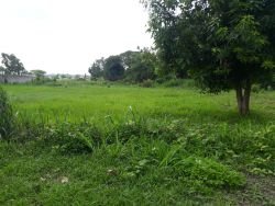 ID: 4472 - Large land by Kaison road for sale near National Conventional Hall