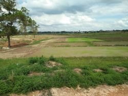 ID: 4473 - Agriculture land near main road for sale in Ban Nongphaya