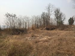 ID: 4436 - Construction land in front of Luangprabang Provincial Hospital for sale