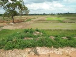 ID: 4473 - Agriculture land near main road for sale in Ban Nongphaya