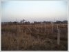 ID: 2365 - Large land behind Wattay Airport