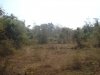 ID: 168 - Vacant land for sale at Ban Chomsy in 450 year road