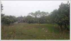 ID: 3893 - Land for rent by pave road in Ban Tanmesay in Saythany District