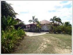 ID: 3137 - Villa house with large yard by rice paddy field for sale in Thadeua road.