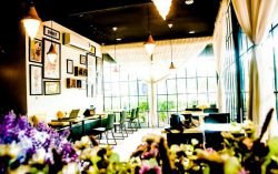 ID: 4462 - Turnkey business of cafe restaurant for sale in heart of Vientiane