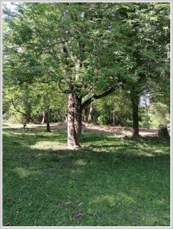 ID: 3670 - Vacant Shady land in new government administration center of Oudomphon Village for sale