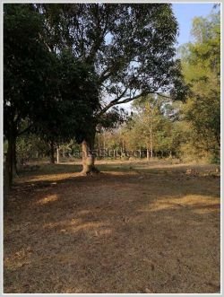 ID: 3670 - Vacant Shady land in new government administration center of Oudomphon Village for sale