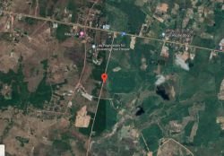 ID: 4382 - Vacant Shady land for agriculture in Ban Doneloum, Saythany, for sale