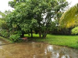 ID: 4108 - Adorable house with large garden near Lao ITIEC for rent