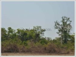 ID: 3148 - Pristine land 2,5 km from the main road for sale in Saythany District. $4/sqm