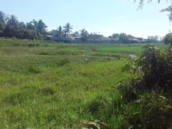 ID: 4588- Large land near Suanmone market in Ban Sangveuy for sale.