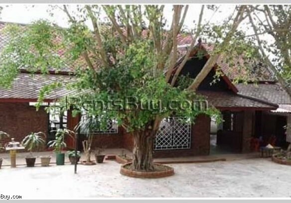 ID: 3765 – Nice Restaurant near Mekong River in Luangprabang for sale