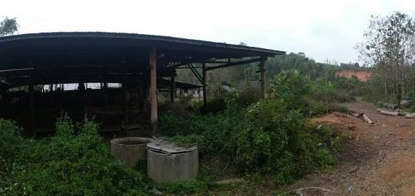 ID: 3923 – Saw Mill Factory for sale in Hongsa District, Sayabouly Province