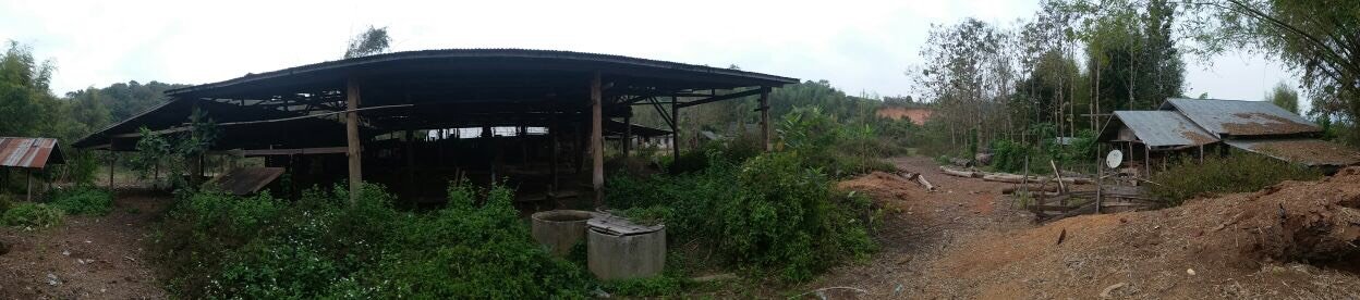 ID: 3923 – Saw Mill Factory for sale in Hongsa District, Sayabouly Province