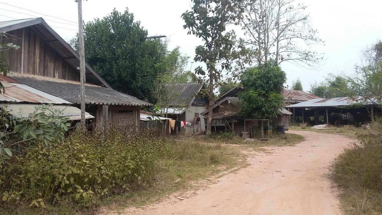 ID: 3923 – Saw Mill Factory for sale in Hongsa District, Sayabouly Province