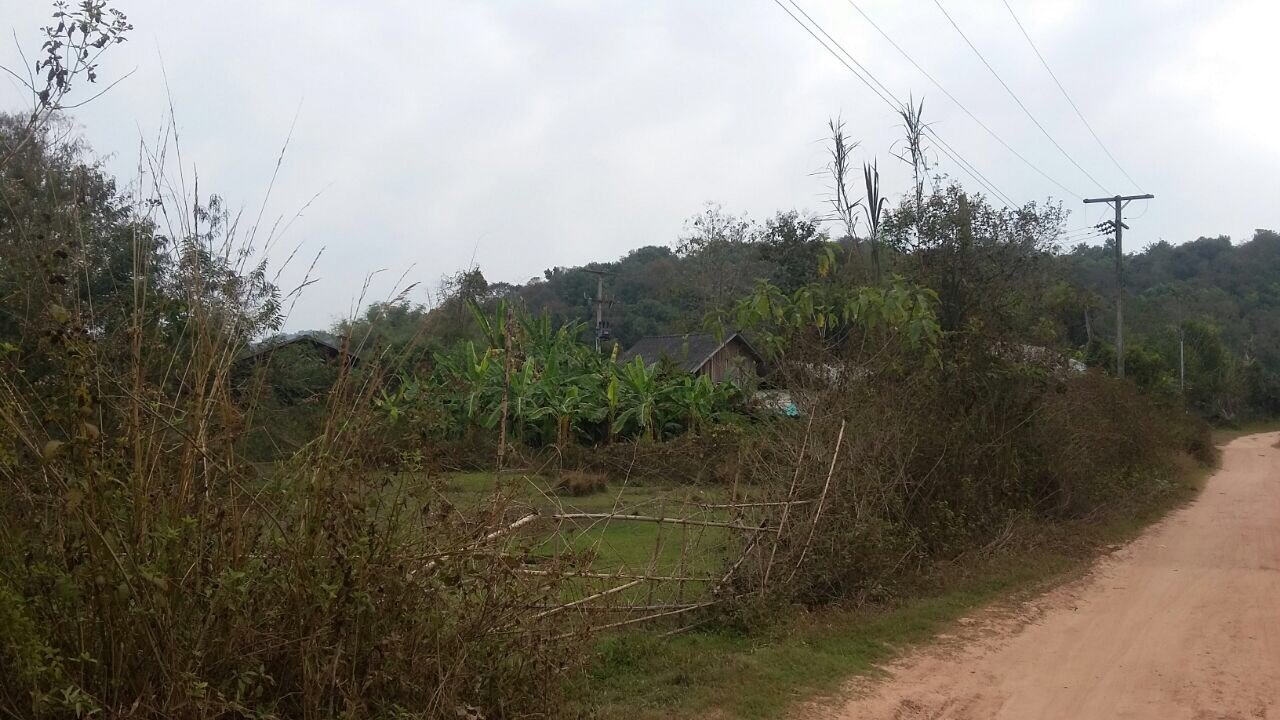 ID: 3923 – Saw Mill Factory for sale in Hongsa District, Sayabouly Province