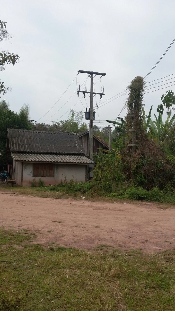 ID: 3923 – Saw Mill Factory for sale in Hongsa District, Sayabouly Province