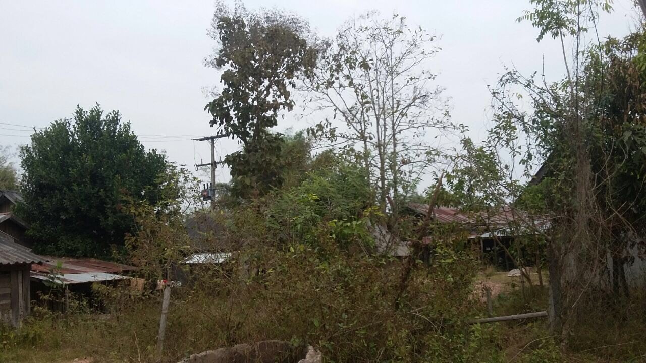 ID: 3923 – Saw Mill Factory for sale in Hongsa District, Sayabouly Province