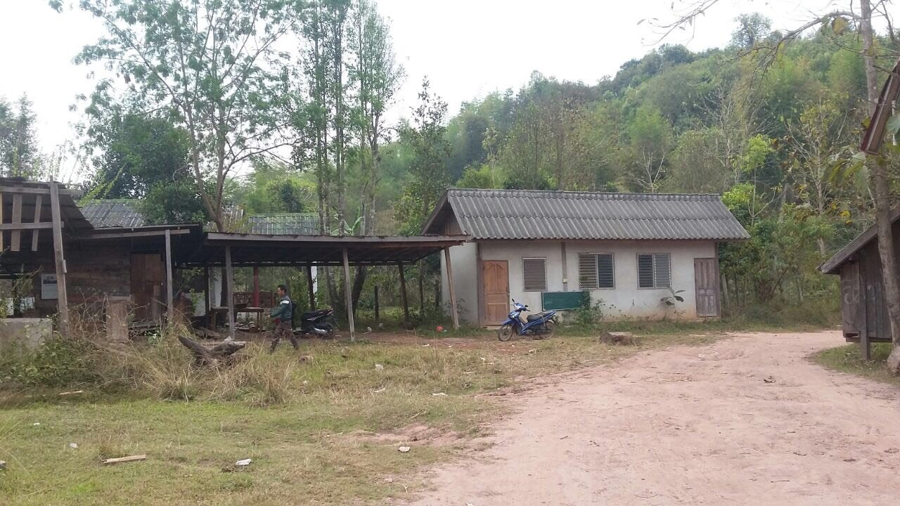 ID: 3923 – Saw Mill Factory for sale in Hongsa District, Sayabouly Province