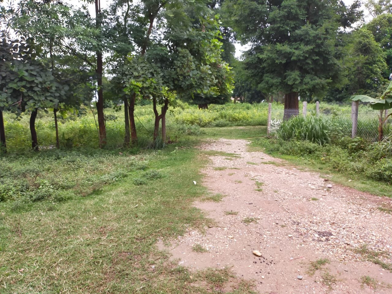 House-for-sale27 ID: 4522- House near Lao-Thai Friendship Bridge for sale.