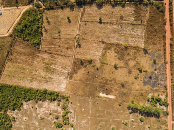 ID: 4423 – Agriculture large of land in Ban Phailom.