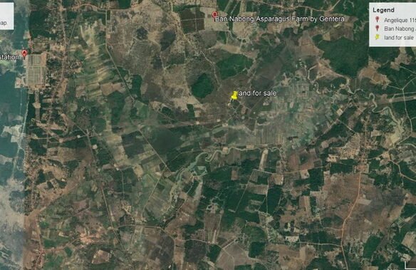 ID: 4421 – Large Land for agriculture near NumNgum for sale in Ban Nabong, Agriculture Facuty of NUO.