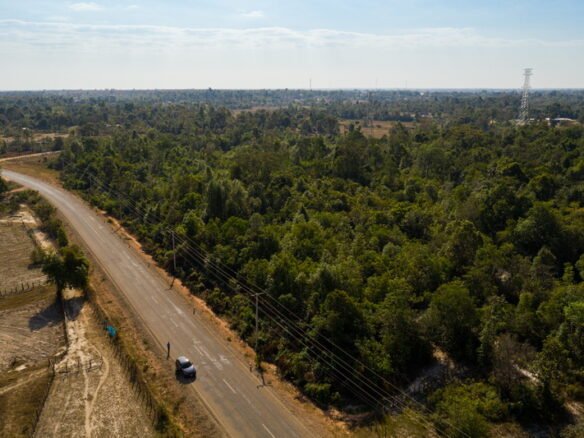 ID: 4424 – Large land for sale in Ban Somsavat.