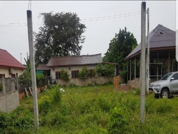 ID: 4557-Nice land near Sikhai market for sale.