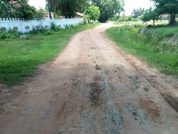ID: 4477 – Agriculture land near main road for sale in Ban Samket.
