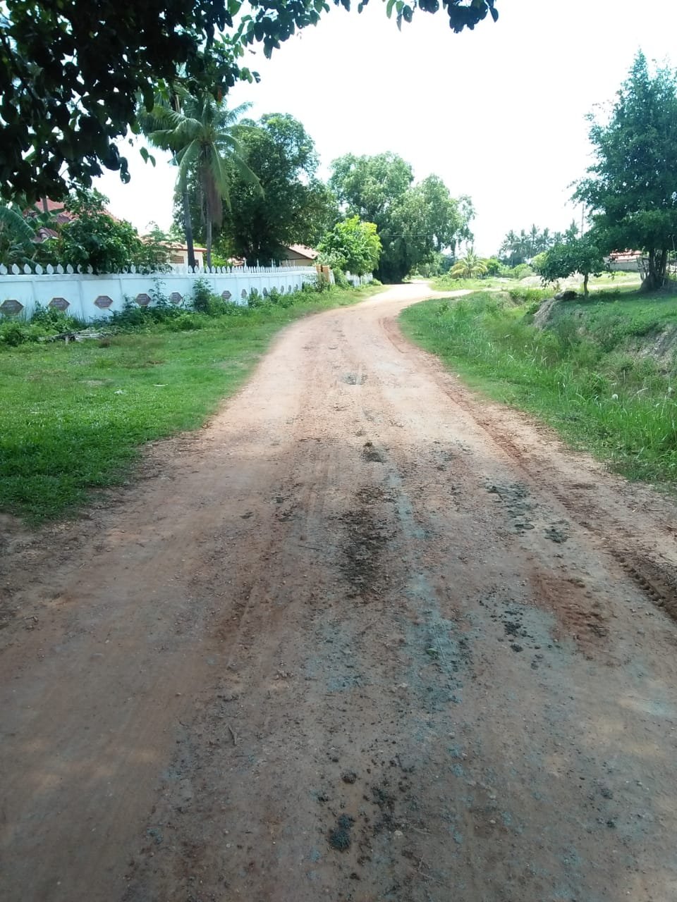 ID: 4477 – Agriculture land near main road for sale in Ban Samket.