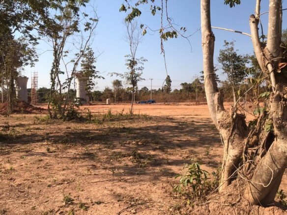 ID: 4599 4 hectares land plot with low price near 450 road in Ban Doung.