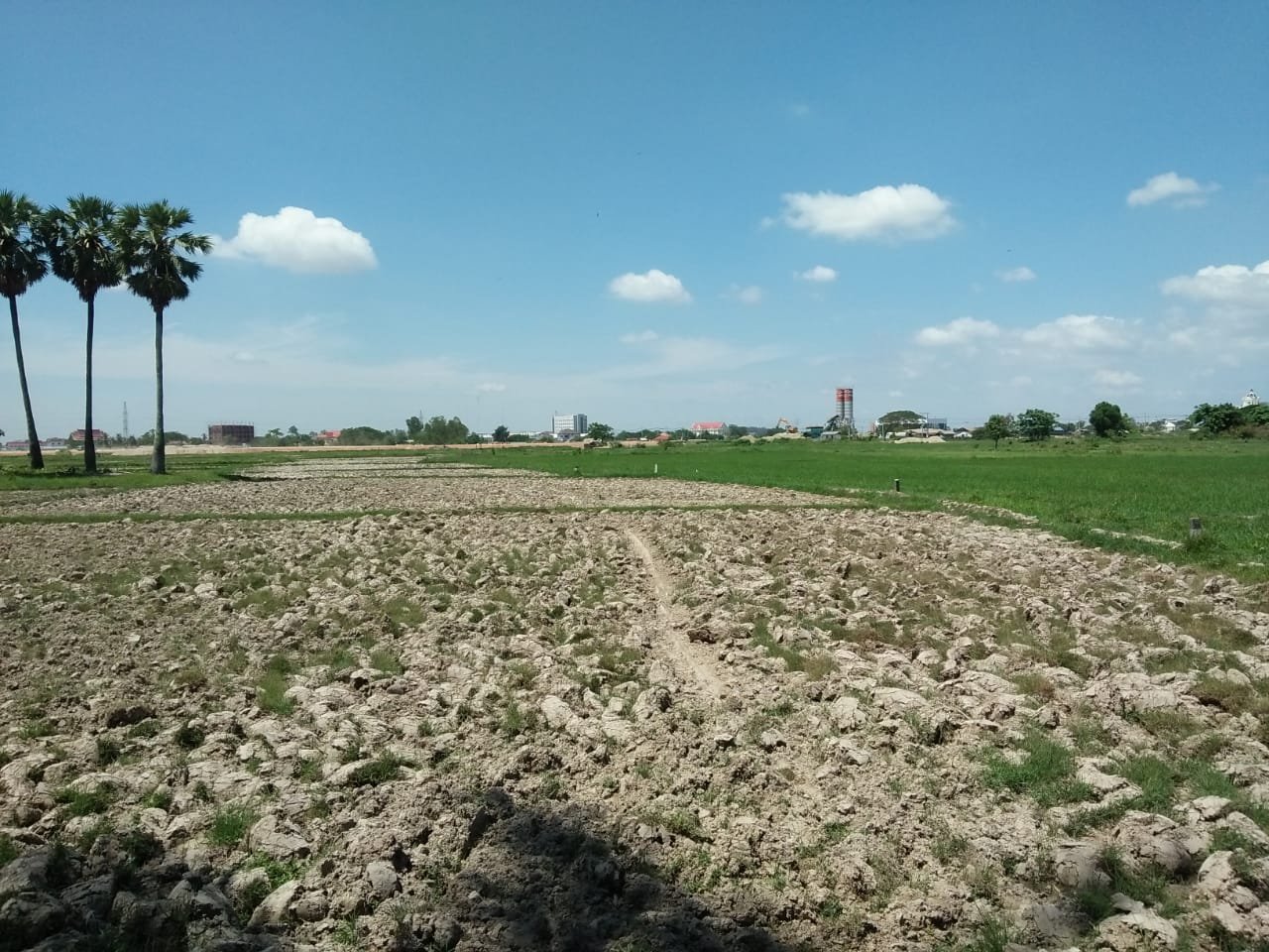 ID: 4477 – Agriculture land near main road for sale in Ban Samket.