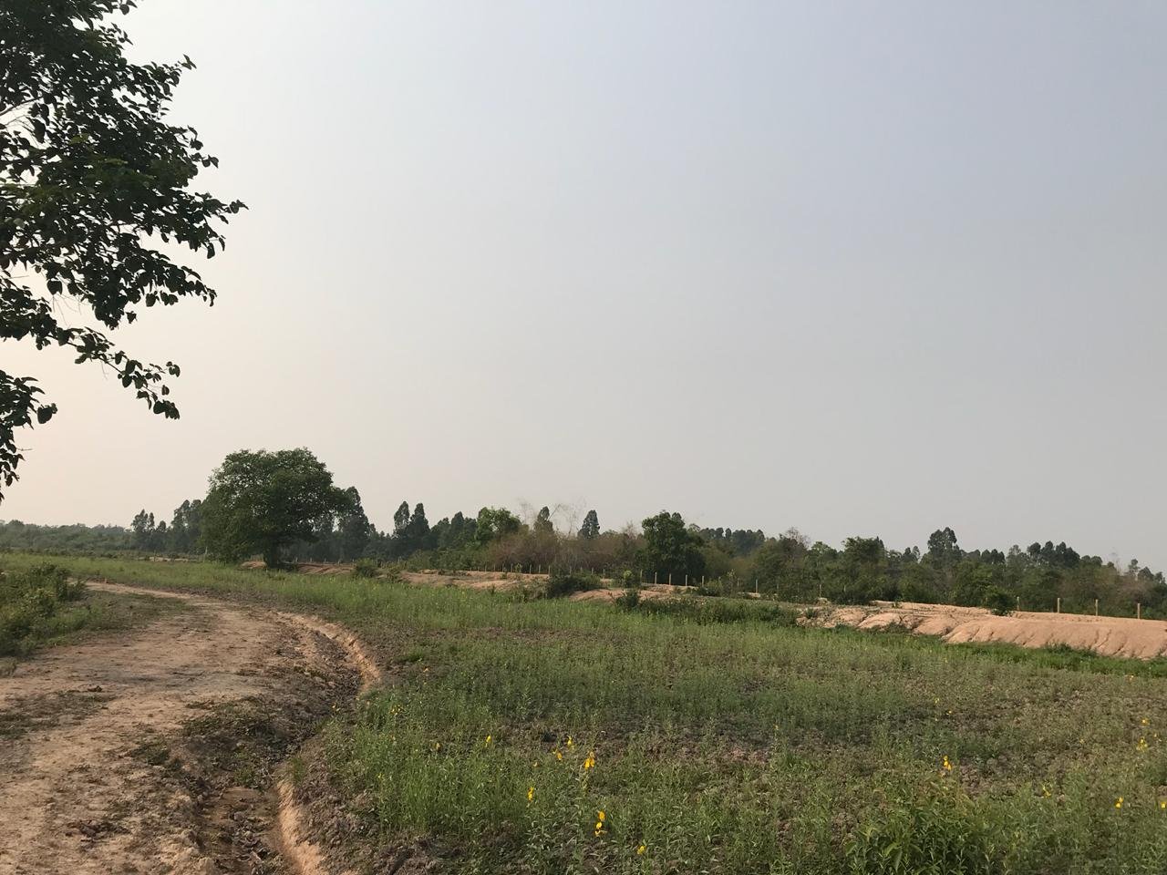 ID: 4524- Agriculture land near Na Dear Farm for sale.