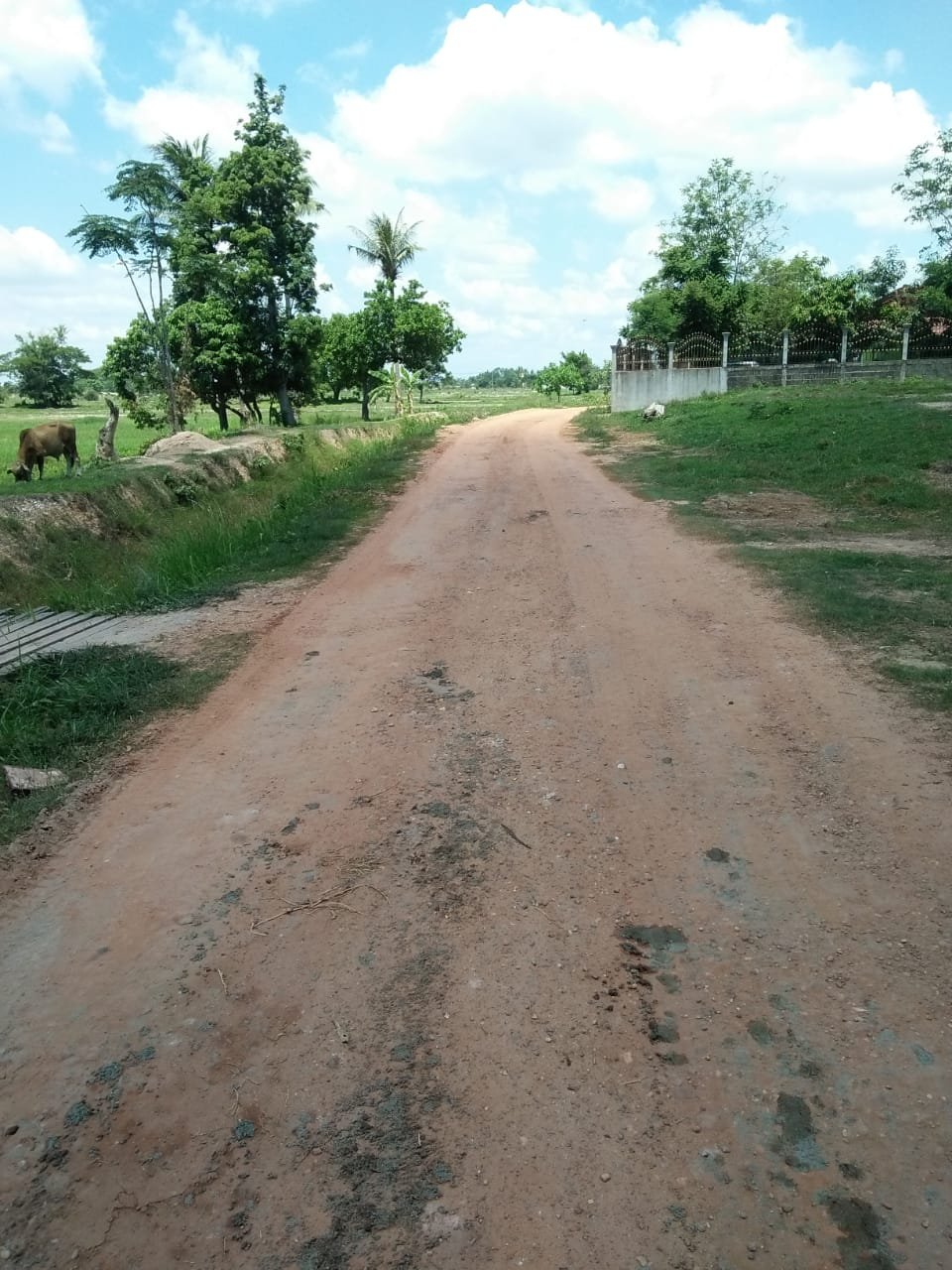 ID: 4477 – Agriculture land near main road for sale in Ban Samket.