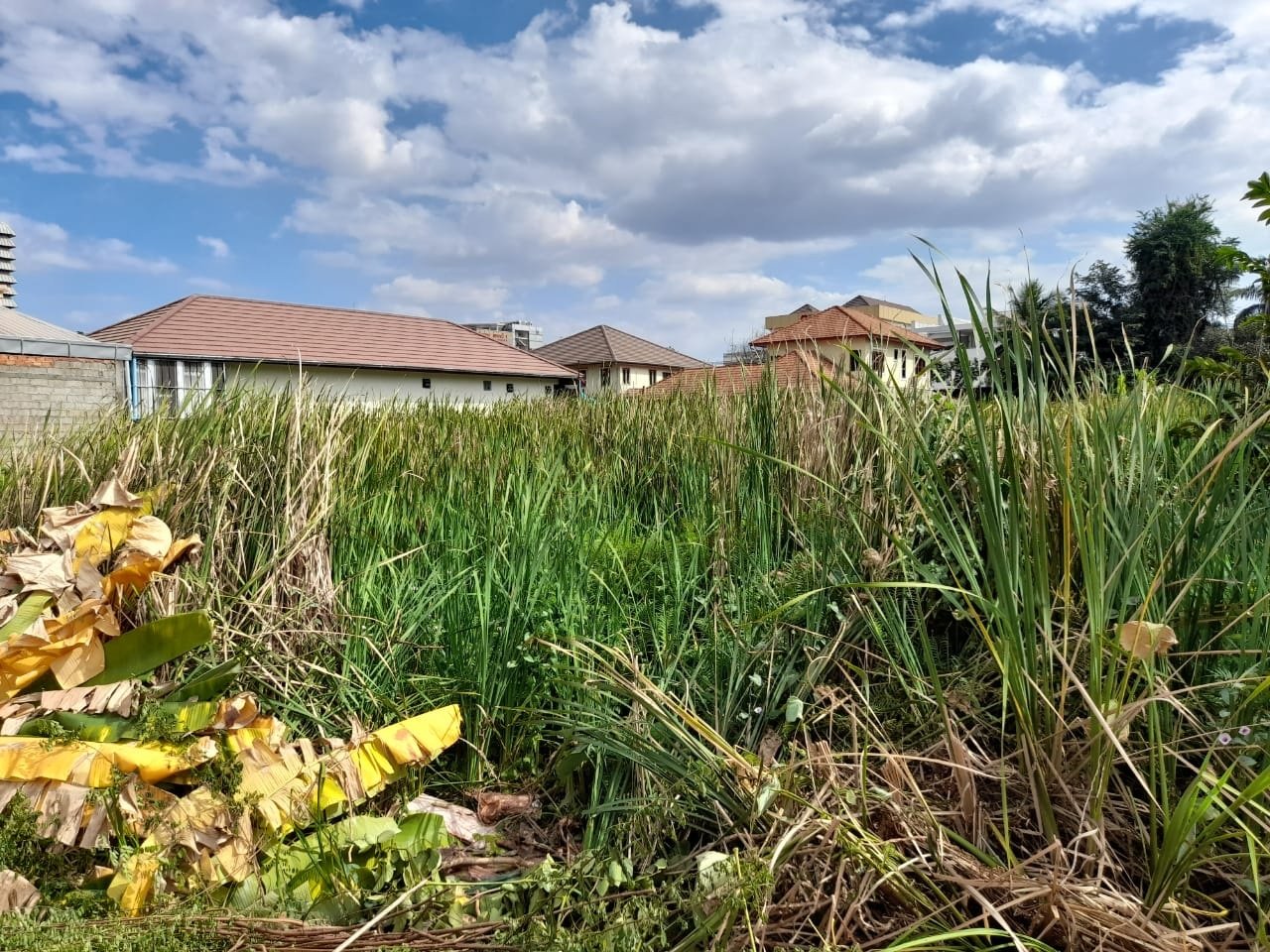 Land-for-sale7 ID: 4590- Nice land near Patuxay and Ministry of finance for sale.
