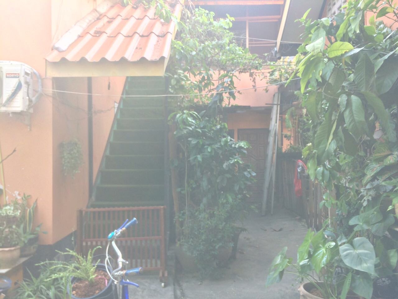 ID: 3836 – The business for rent in City Center and not far from Mekong River.
